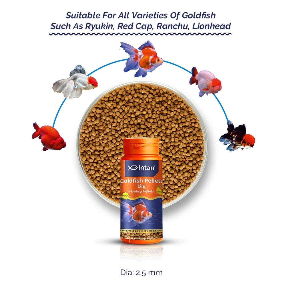 Intan Goldfish Pellets Big 2.5 mm 145 grams bottle - 6