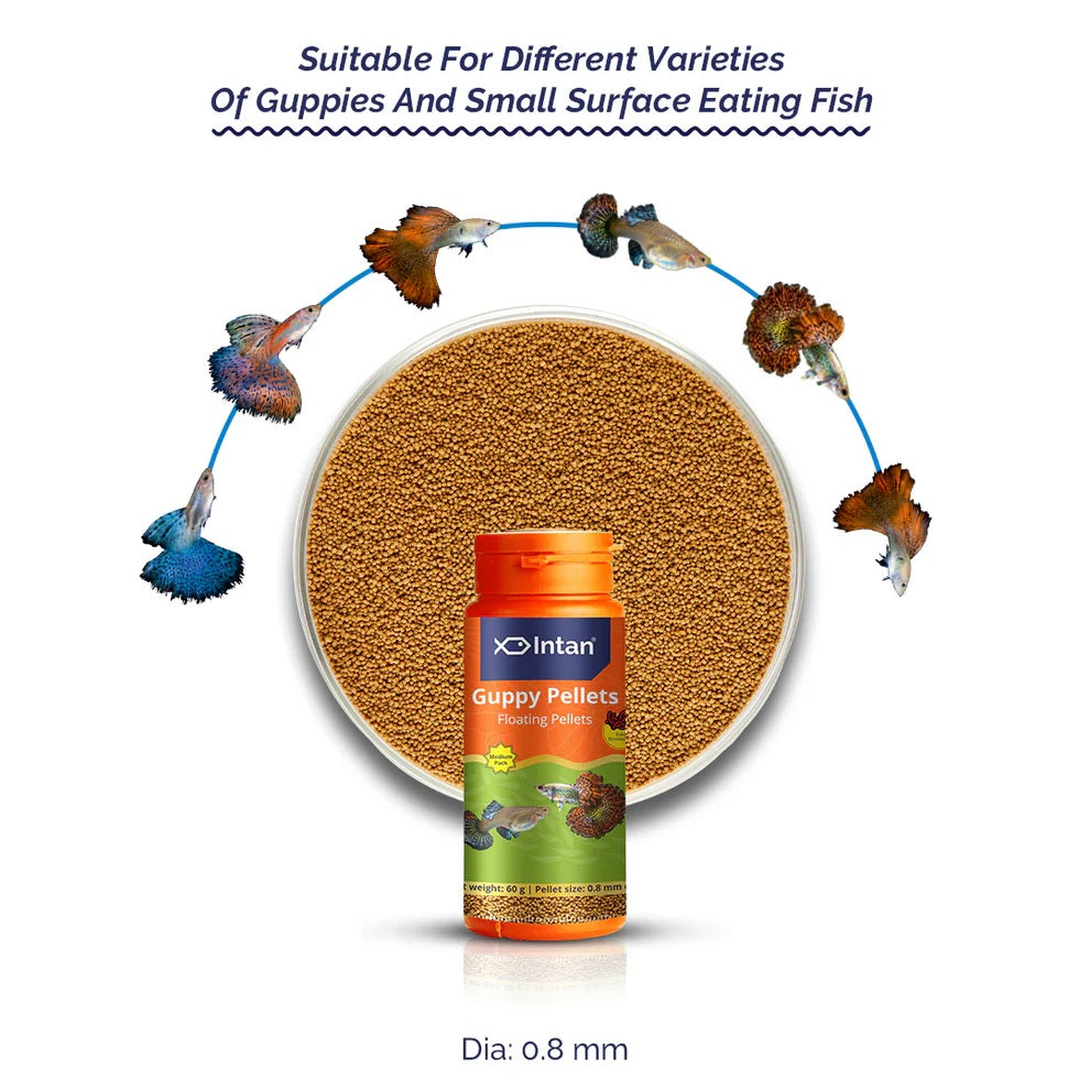 Intan Guppy Pellets 60 grams fish food from Growel Feeds - 6