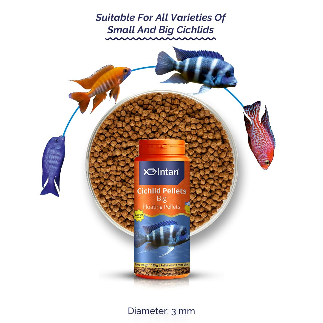 Intan Cichlid Pellets (Big 3mm Floating) - 165g