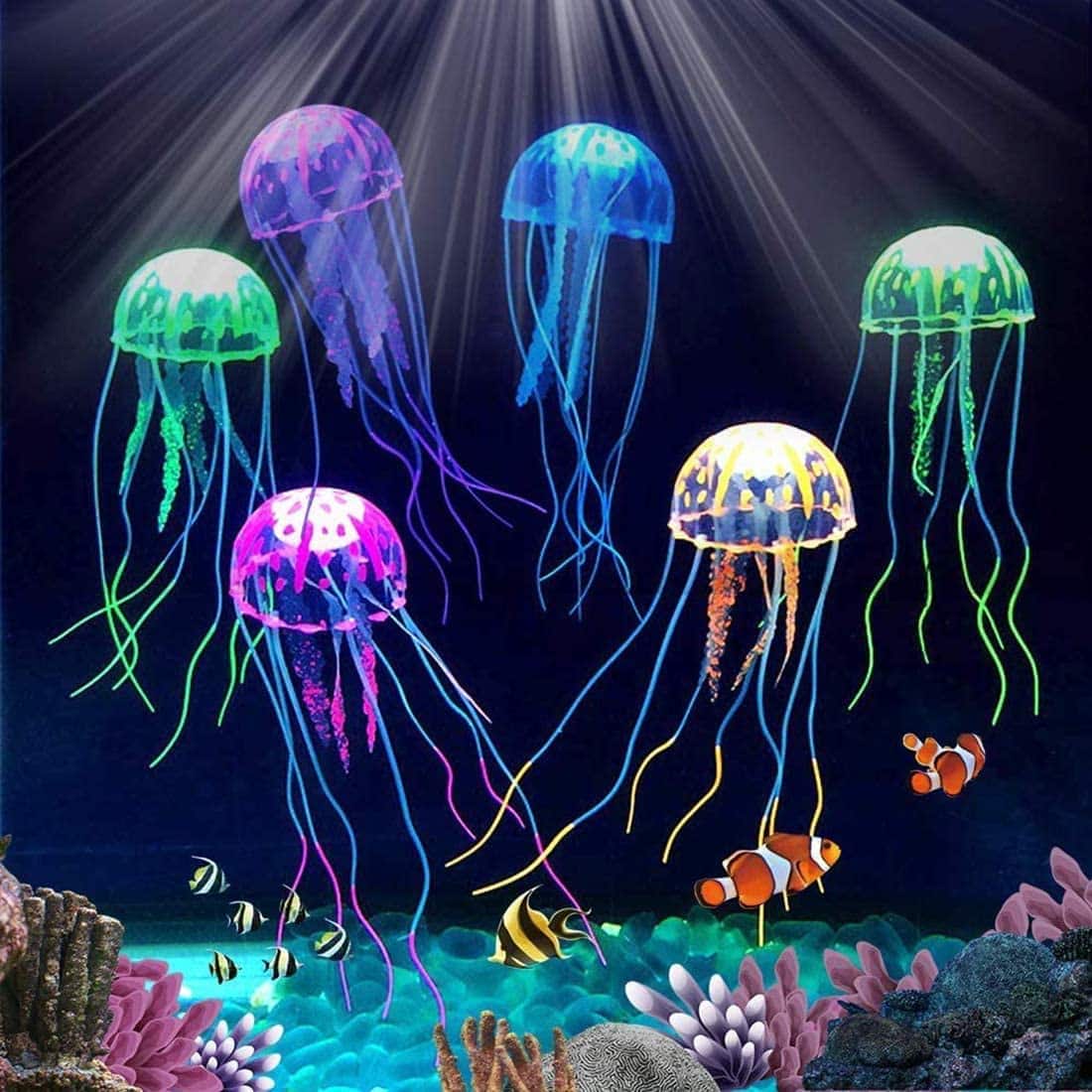 Jelly Fish Umbrella Medium Size for Aquarium Decoration
