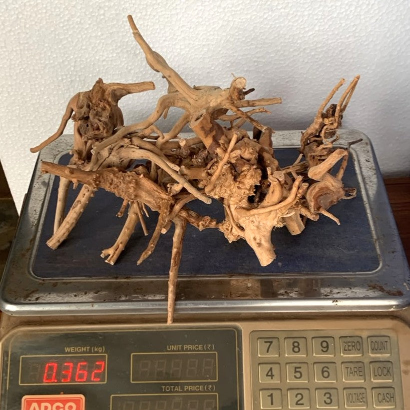 Natural Driftwood for Aquarium Decoration - DW00087