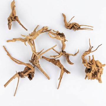 Natural Driftwood for Aquarium Decoration - DW00087