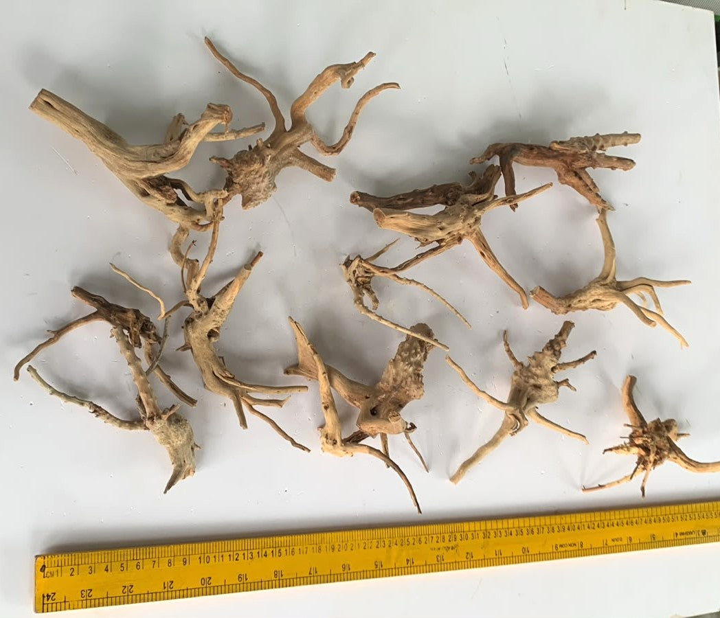 Natural Driftwood for Aquarium Decoration - DW00088