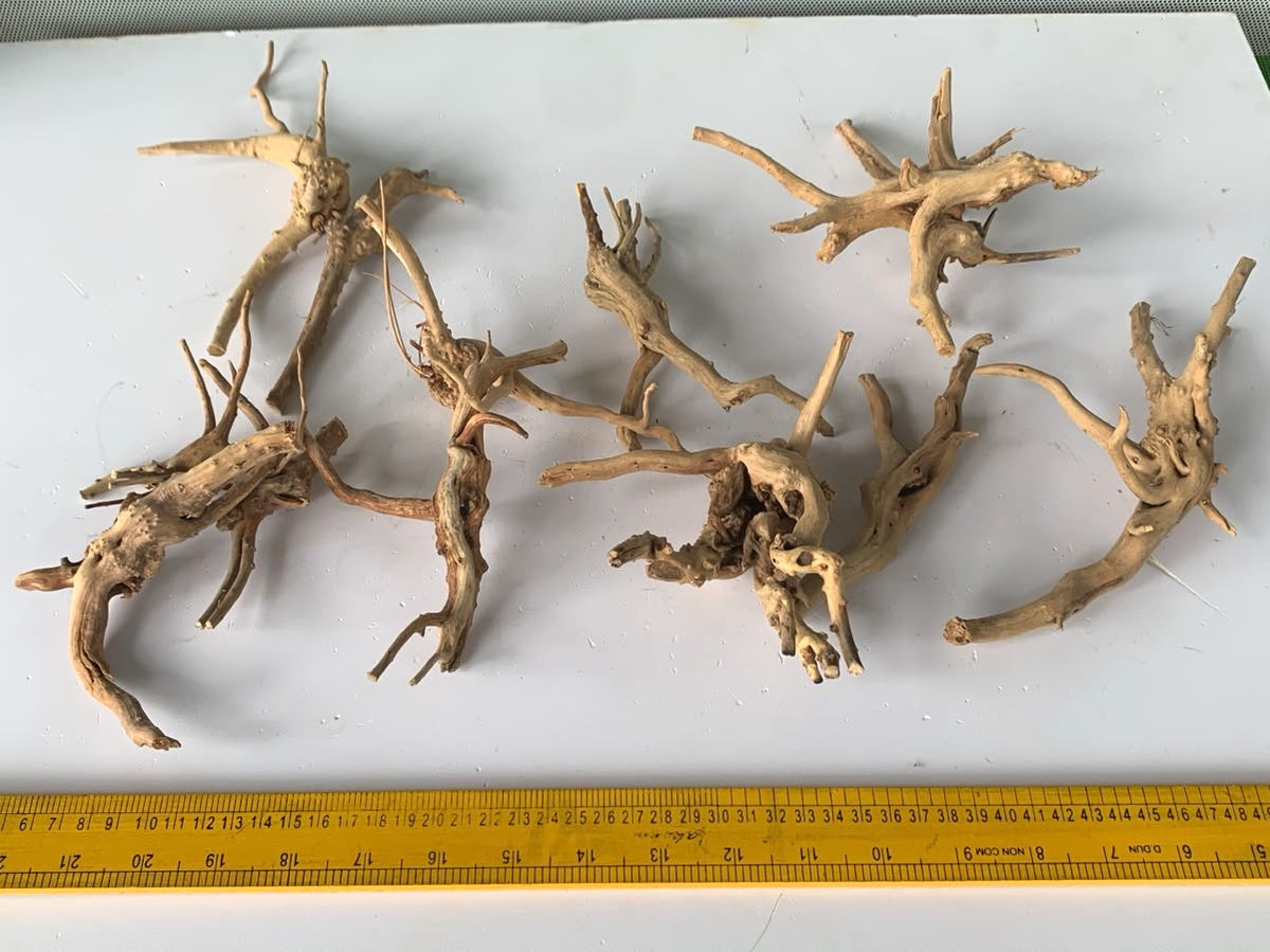 Natural Driftwood for Aquarium Decoration - DW00089