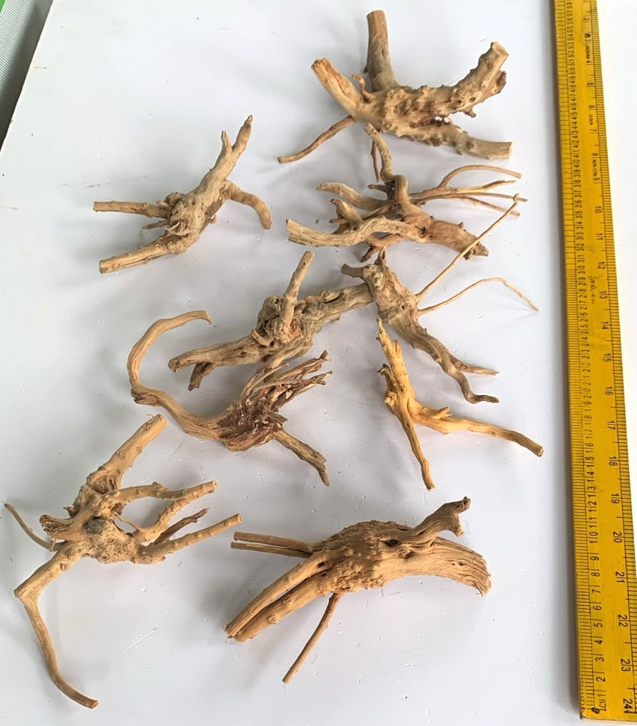 Natural Driftwood for Aquarium Decoration - DW00090