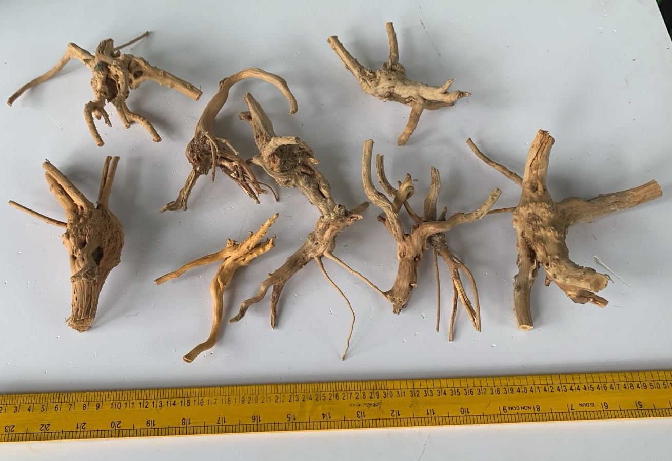 Natural Driftwood for Aquarium Decoration - DW00090