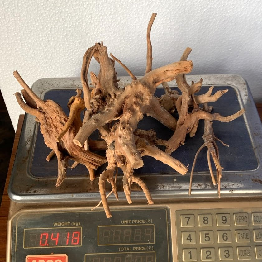 Natural Driftwood for Aquarium Decoration - DW00090