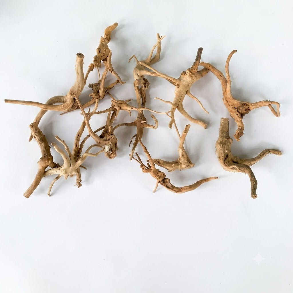 Natural Driftwood for Aquarium Decoration - DW00092