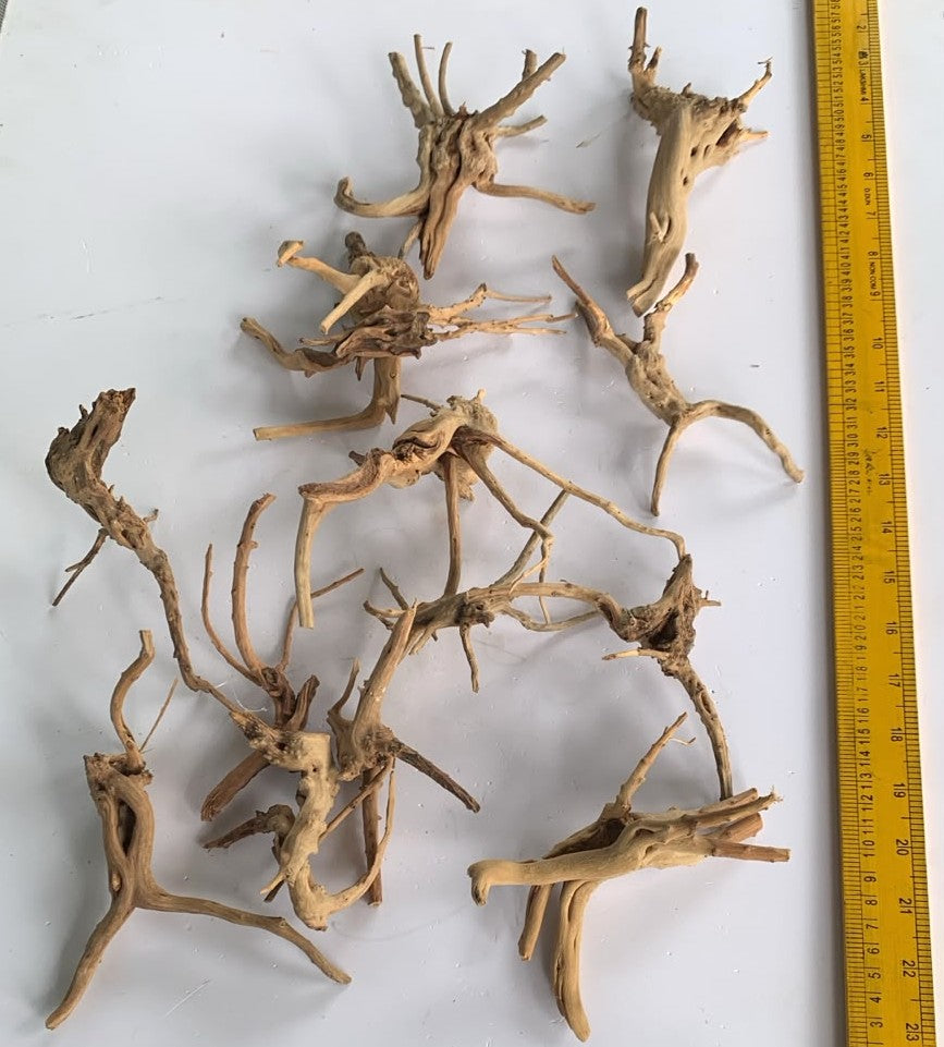 Natural Driftwood for Aquarium Decoration - DW00093