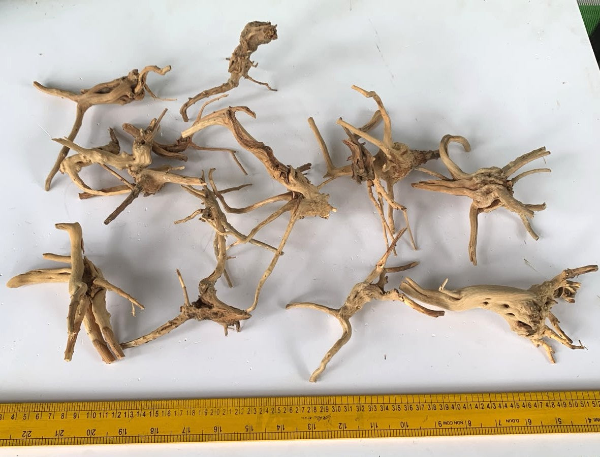 Natural Driftwood for Aquarium Decoration - DW00093