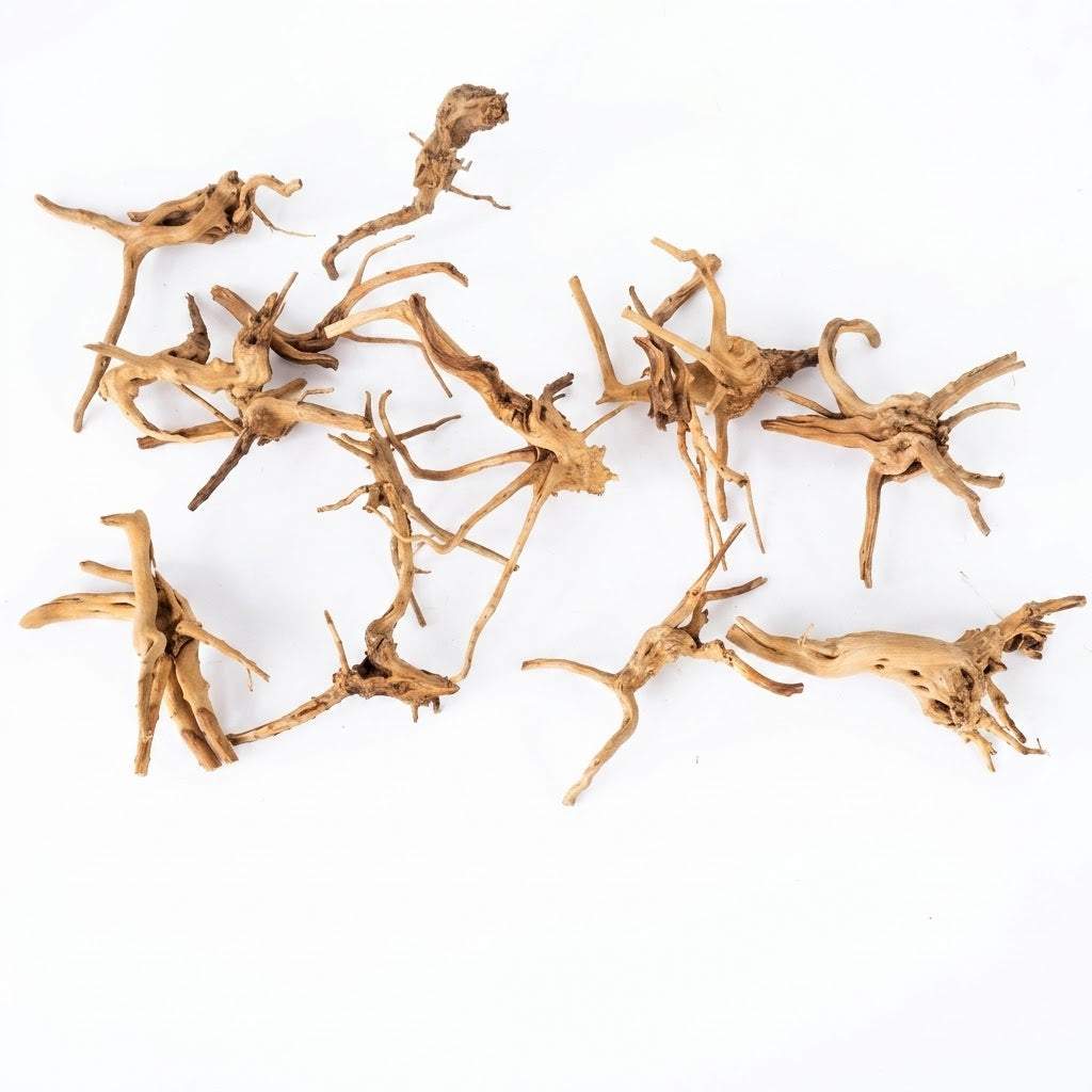 Natural Driftwood for Aquarium Decoration - DW00093
