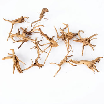 Natural Driftwood for Aquarium Decoration - DW00093