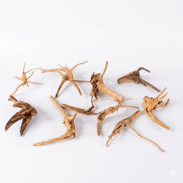 Natural Driftwood for Aquarium Decoration - DW0050