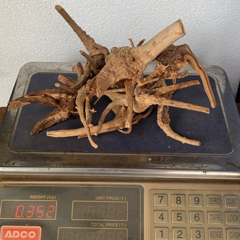 Natural Driftwood for Aquarium Decoration - DW0050