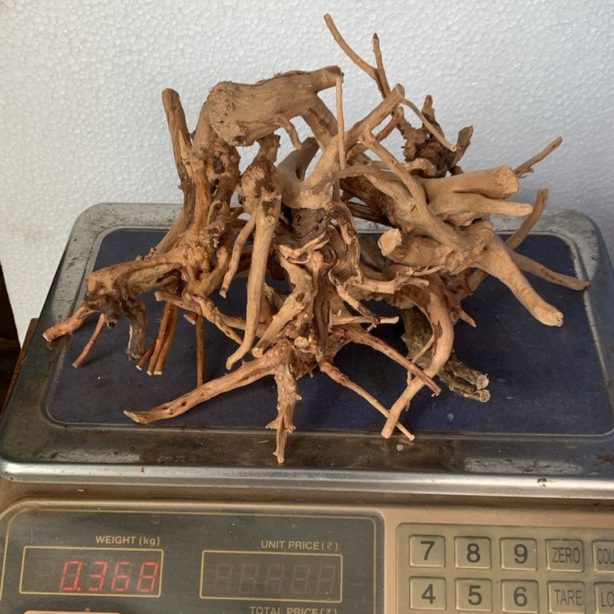 Natural Driftwood for Aquarium Decoration - DW0052