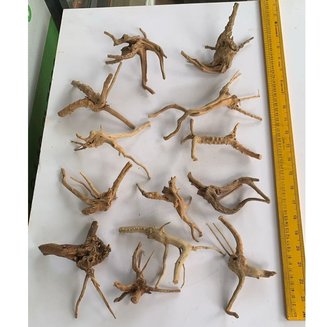 Natural Driftwood for Aquarium Decoration - DW0053