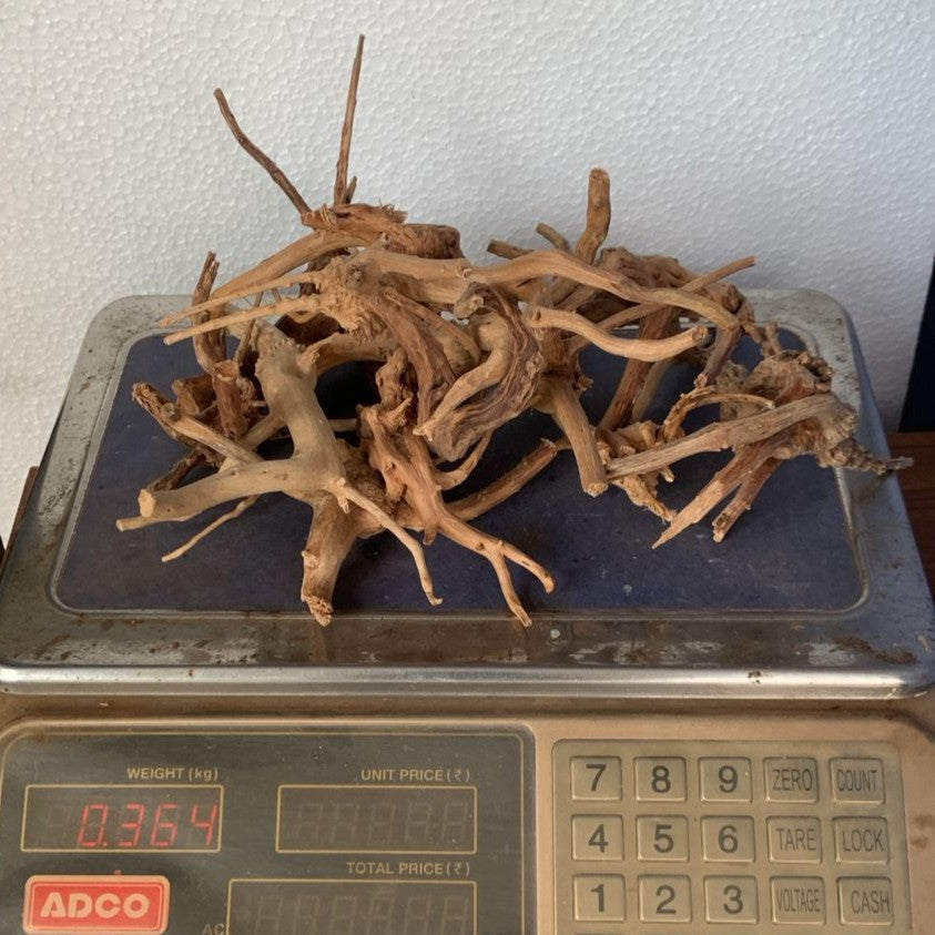 Natural Driftwood for Aquarium Decoration - DW0053
