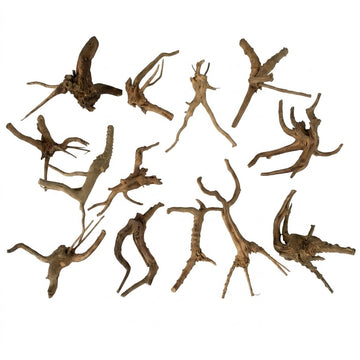 Natural Driftwood for Aquarium Decoration - DW0053