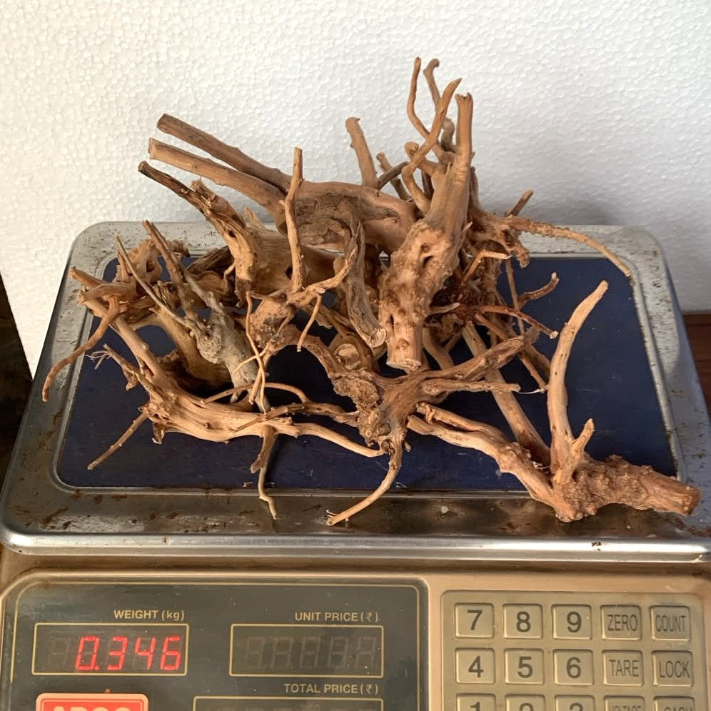Natural Driftwood for Aquarium Decoration - DW0077