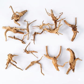 Natural Driftwood for Aquarium Decoration - DW0078