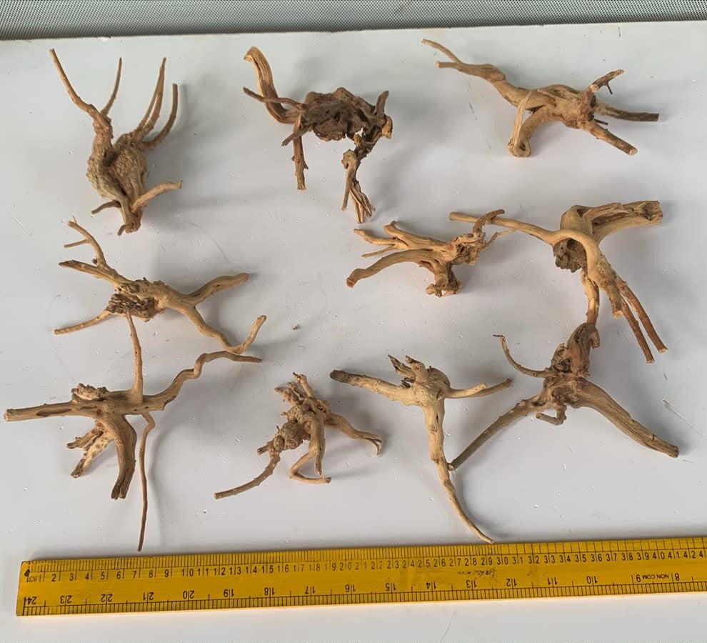 Natural Driftwood for Aquarium Decoration - DW0081