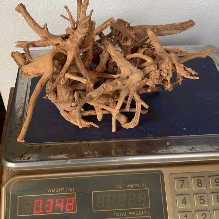 Natural Driftwood for Aquarium Decoration - DW0081