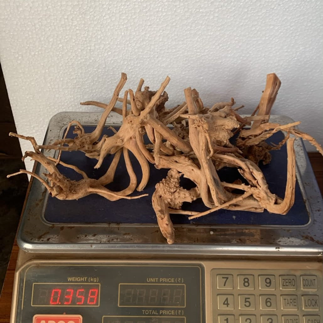 Natural Driftwood for Aquarium Decoration - DW0082