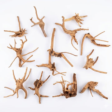 Natural Driftwood for Aquarium Decoration - DW0082