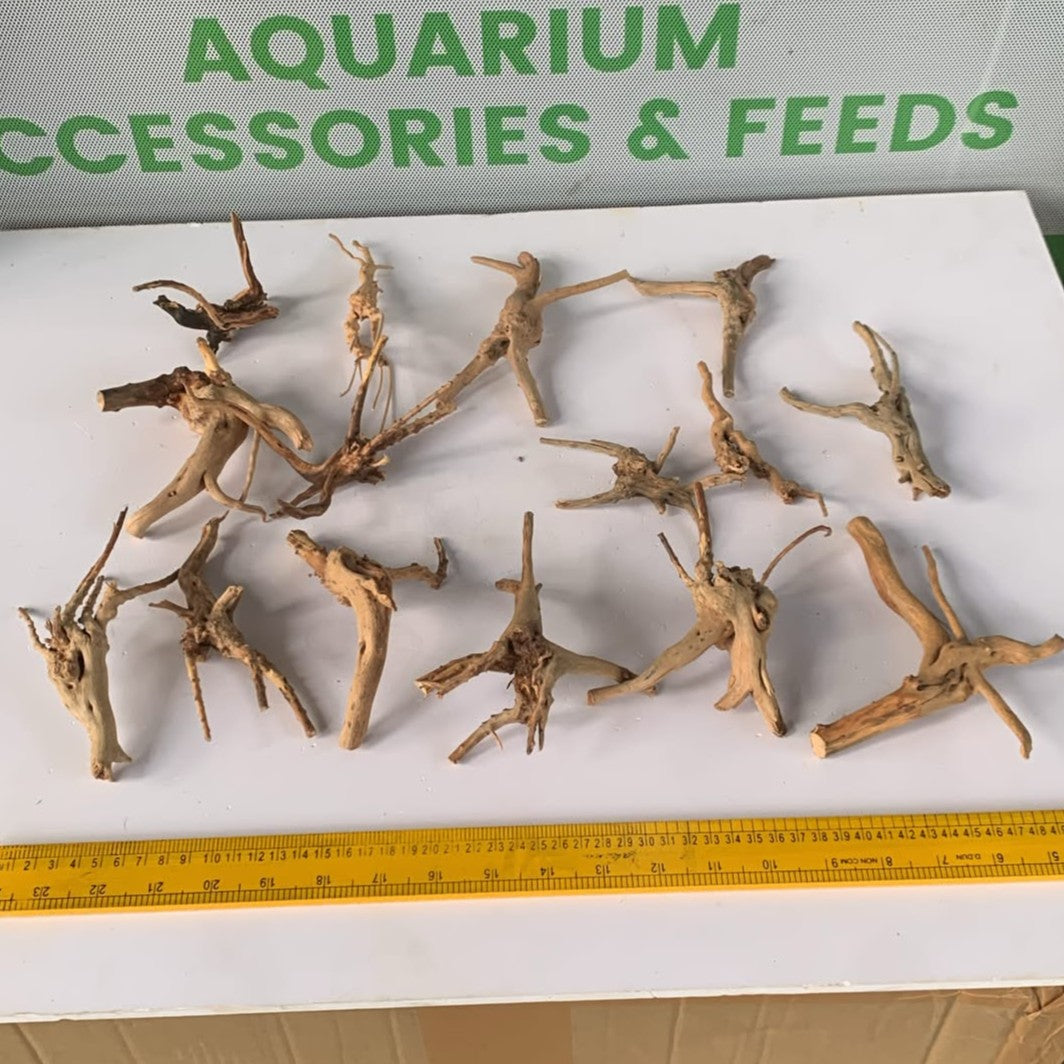 Natural Driftwood for Aquarium Decoration - DW0083
