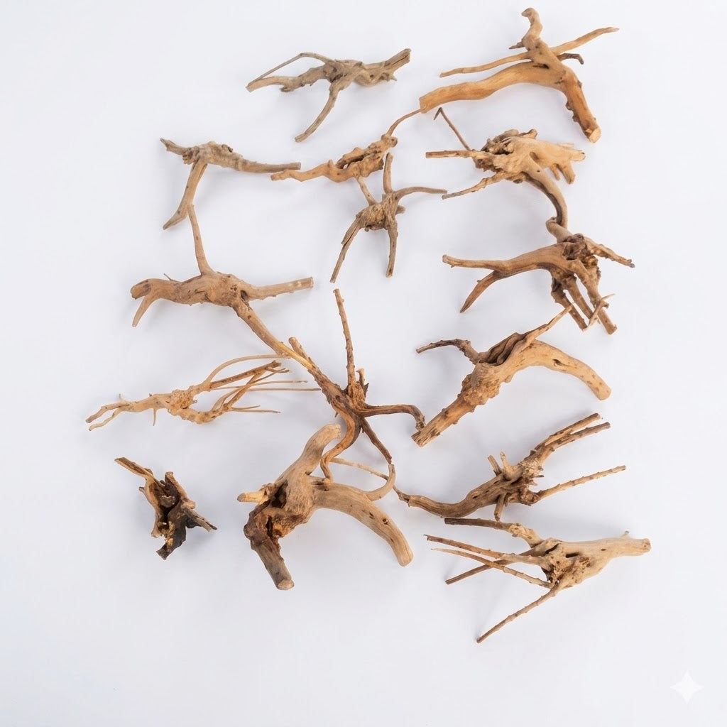 Natural Driftwood for Aquarium Decoration - DW0083