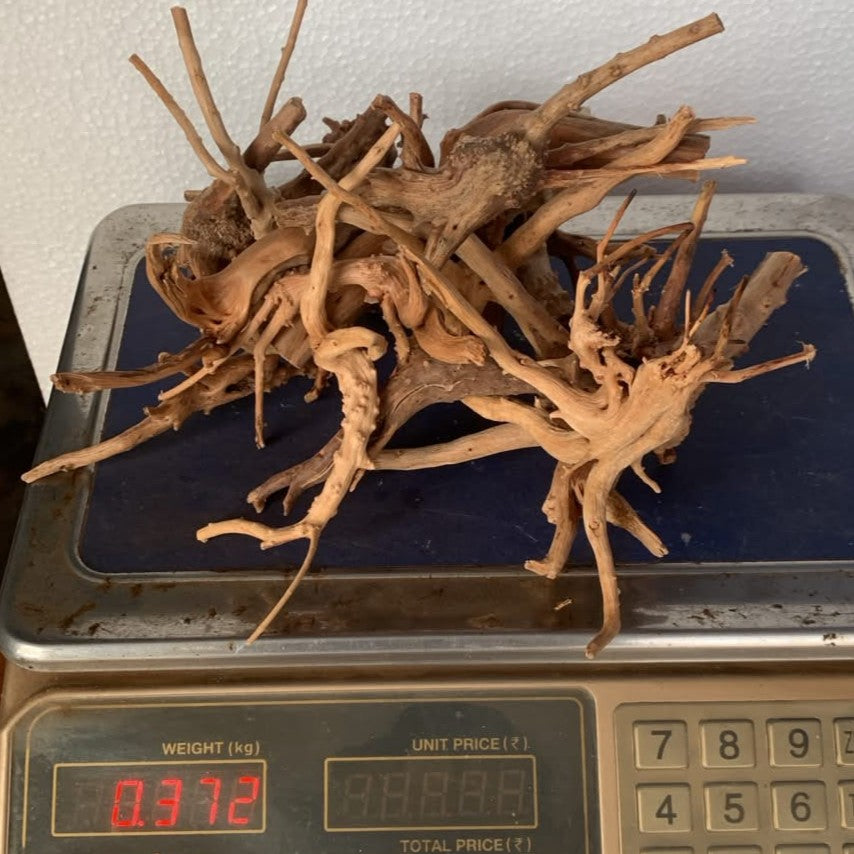 Natural Driftwood for Aquarium Decoration - DW0084