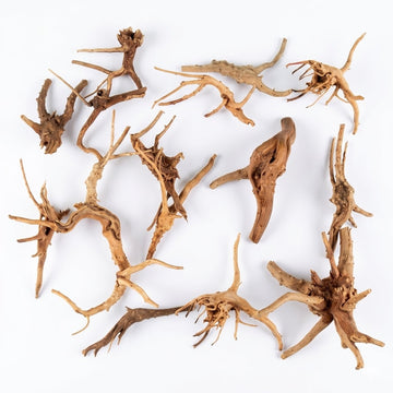 Natural Driftwood for Aquarium Decoration - DW0084