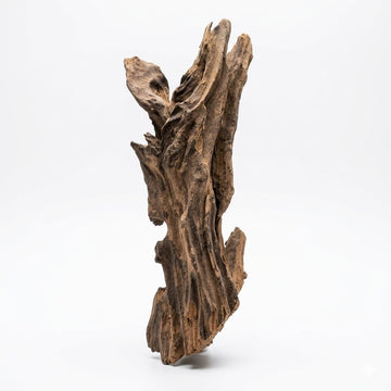 Premium Natural Shrimp Wood for Planted Aquariums - 385g - No:4