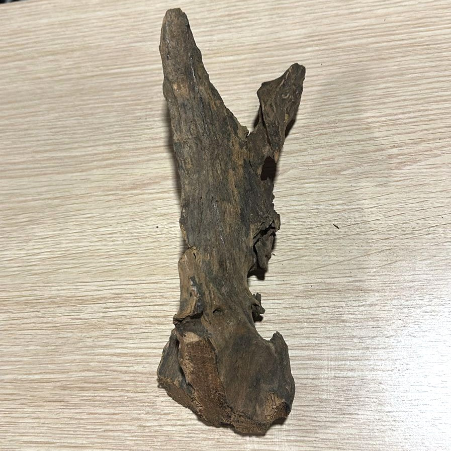 Premium Natural Shrimp Wood for Planted Aquariums - 385g - No:4