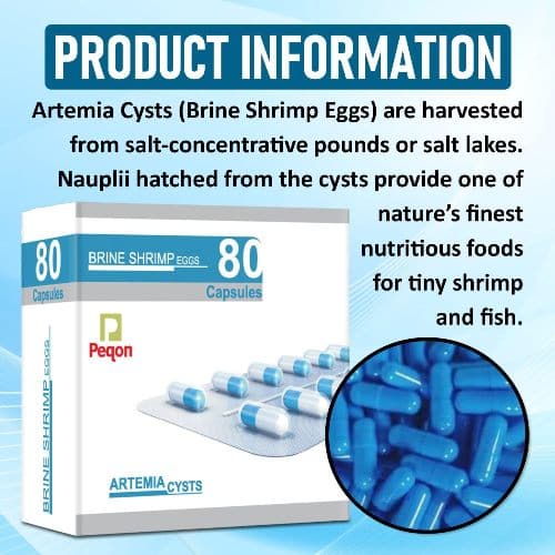 Peqon Artemia Cysts (Brine Shrimp Eggs) - 10 Capsules Strip - 4