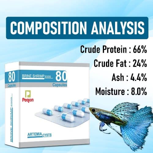 Peqon Artemia Cysts (Brine Shrimp Eggs) - 10 Capsules Strip - 6