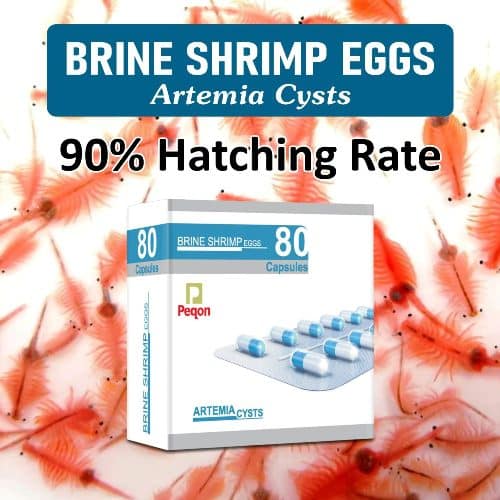 Peqon Artemia Cysts (Brine Shrimp Eggs) - 10 Capsules Strip - 8