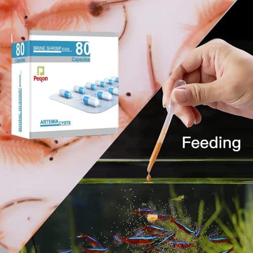 Peqon Artemia Cysts (Brine Shrimp Eggs) - 10 Capsules Strip - 9