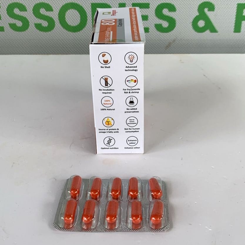 Peqon Decapsulated Brine Shrimp Eggs - 10 capsule Strip- Ready-to-Feed - 3