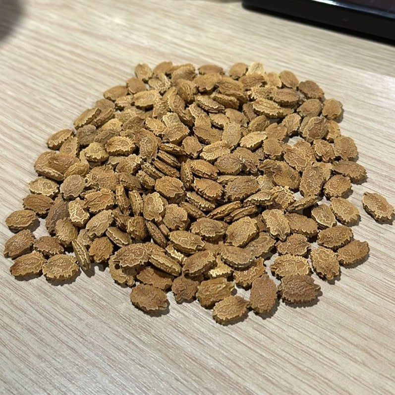 Preethi Bitter Gourd (Paval) Seeds - Premium Mannuthi Variety (15 Seeds)