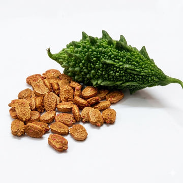 Preethi Bitter Gourd (Paval) Seeds - Premium Mannuthi Variety (15 Seeds)