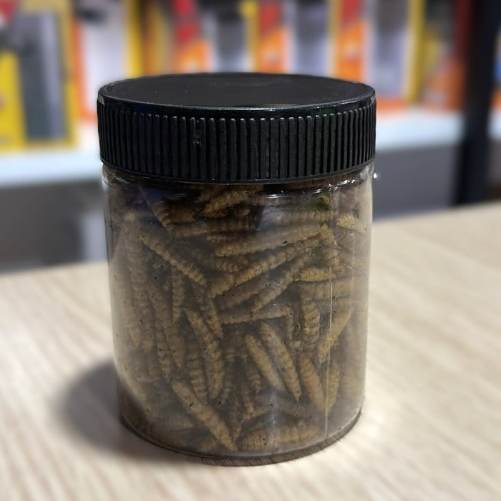 Pro Bite Black soldier Fly Larvae 30 gram bottle