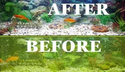 Quanlong Aquarium Fish tank Cleaner - 2