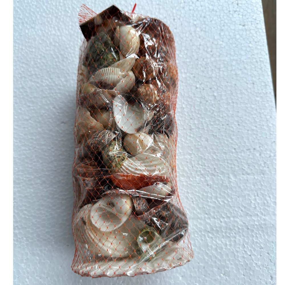 Sea Shell Mixed 900 g packet for Aquarium Decoration - 2