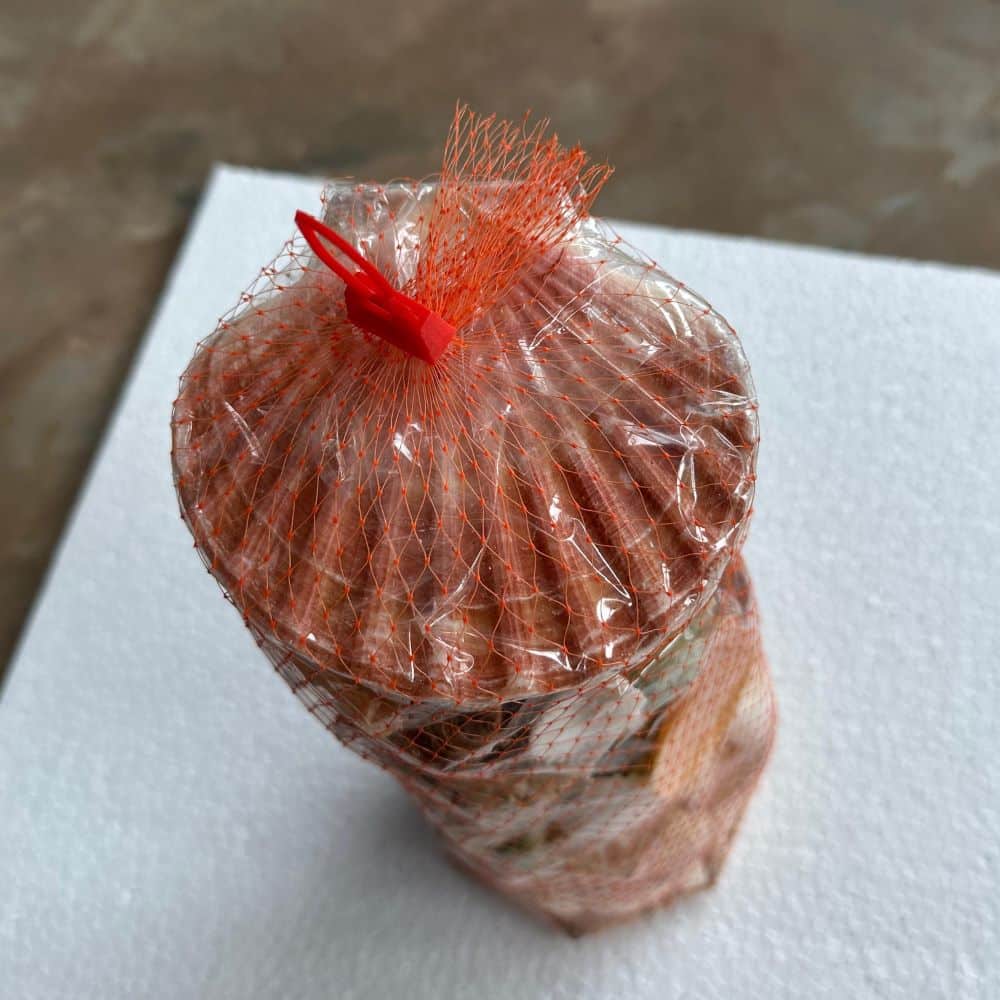Sea Shell Mixed 900 g packet for Aquarium Decoration - 3