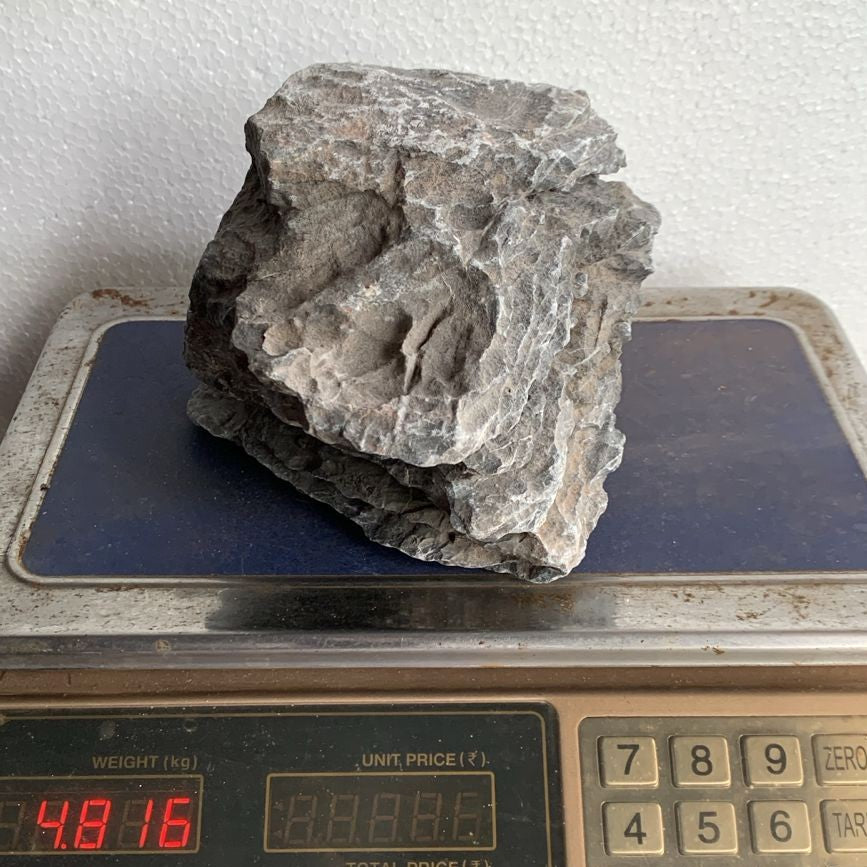 Seiryu Rock Stone - 4.80 kg for Aquarium Landscaping - 2