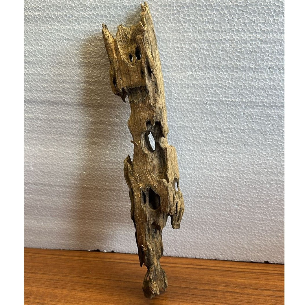 Premium Natural Shrimp Wood for Planted Aquariums - 190g - No:03