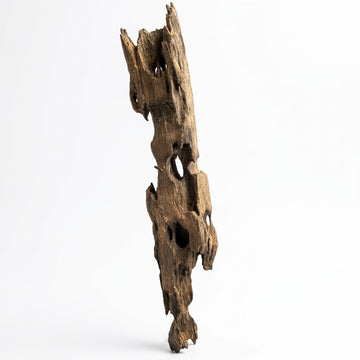 Premium Natural Shrimp Wood for Planted Aquariums - 190g - No:03