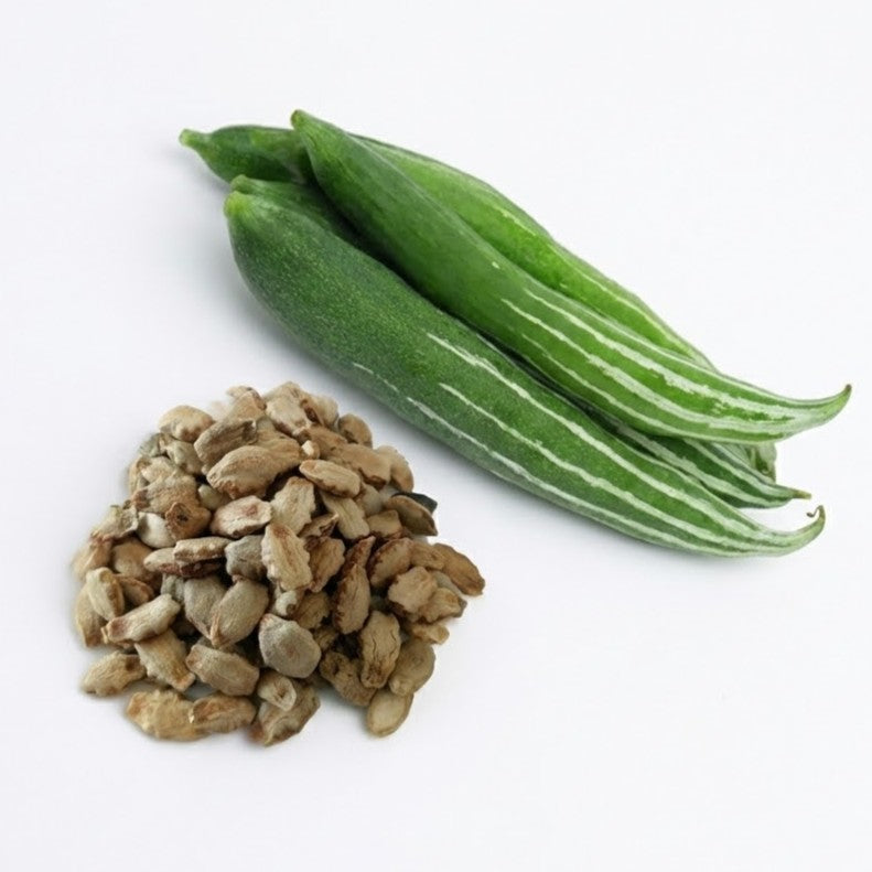 Snake Gourd Kaumudy Seeds 10 Pcs – Premium Padavalam Seeds (Mannuthy Variety)