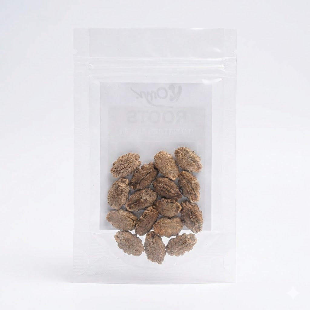 Snake Gourd Kaumudy Seeds 10 Pcs – Premium Padavalam Seeds (Mannuthy Variety) - 3